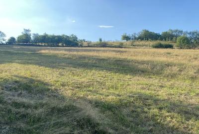 Spațiu comercial, în Brad - 6