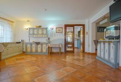 Hotel/Pensiune, de 2,950 mp, în Pănicel - 37