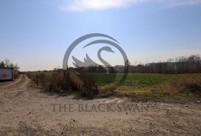 Teren de 7800 mp, în Târgșoru Nou