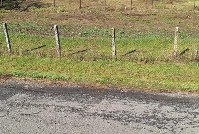 Teren de 2000 mp, în Nima - 4