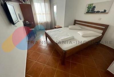 Pensiune la cheie, 11 camere, zona frumoasa si accesibila - 8