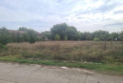 Spațiu comercial, în Băcia - 6