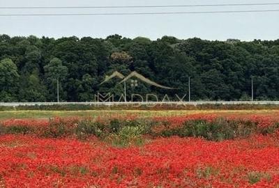 Teren Extravilan ***8500 mp***Zona rezidentiala//Ostratu//Corbeanca Teren Extravilan ***8500 mp***Zona rezidentiala//Ostratu//Corbeanca - 1