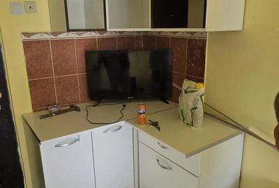 Garsonieră decomandată în Valea Rosie - 2