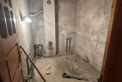 Casă cu 4 camere cu Teren 5000 Mp în Central - 5