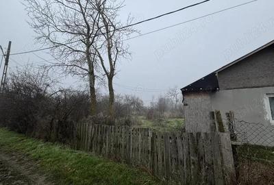 Teren de 2499 mp, în Sârbeni - 8