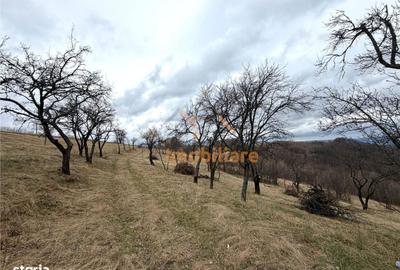 Teren de 34000 mp, în Borod - 2