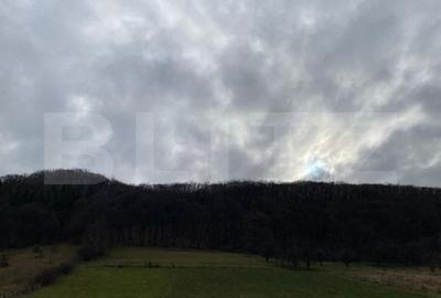 Teren de 2600 mp, în Central