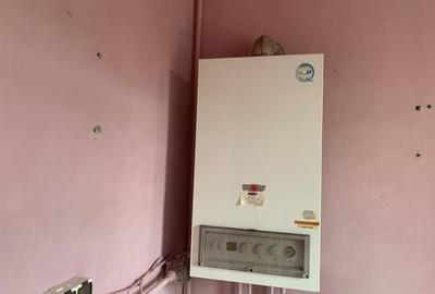 Casă cu 7 camere cu Teren 638 Mp în Bălcescu - 2