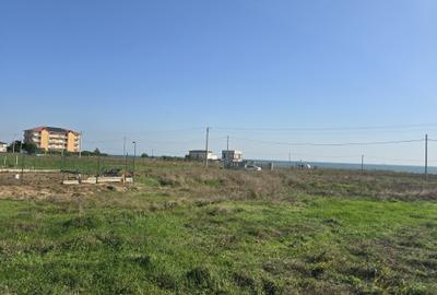 Teren Construcții intravilan de 17000 mp, în Costinești - 3