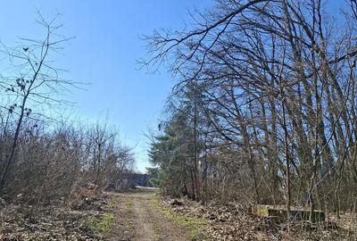 Teren de 2000 mp, în Petrești - 5