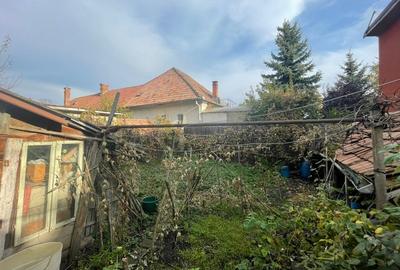 Casa individuala Andrei Muresanu Casa individuala Andrei Muresanu - 2