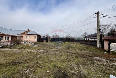 Casă cu 4 camere cu Teren 7727 Mp în Blidari (Cârligele) - 2