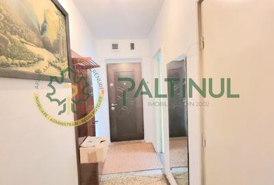 Ap. 2 camere et. 2 Terezian - 5