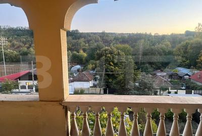 Casa cu piscina P+M, 1.368 mp teren, Leamna de Sus - 3