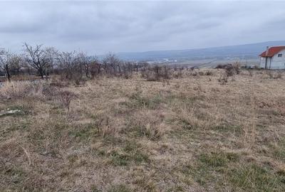 Teren Construcții intravilan de 4800 mp, în Sud - 3