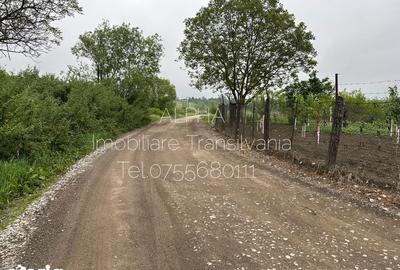 Teren de 5920 mp, în Central