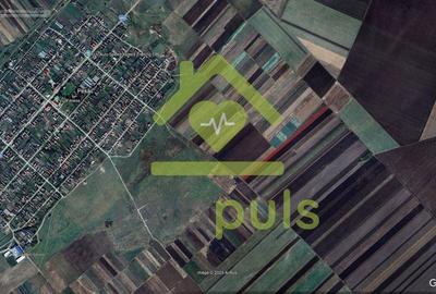 ? Teren extravilan la Pesac de 8.000 mp (1,4 euro/mp)? - 3