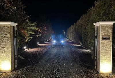 Spațiu comercial, în Afumați - 4