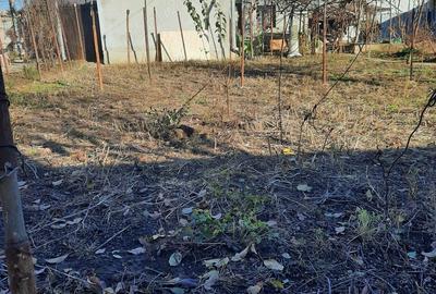 Vand casa batraneasca cu teren in Voluntari str Tarnava - 6