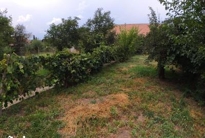 Casă cu 3 camere cu Teren 1350 Mp în Central - 16