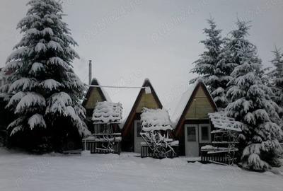 Vand 3 corpuri de constructii si teren langa VATRA DORNEI 259 000 euro negociabil-tota negociabil - 1