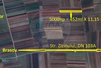 Teren de 5000 mp, în Tărlungeni - 1