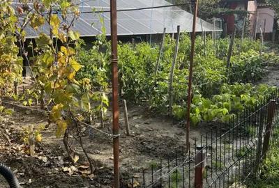 Casă cu 4 camere cu Teren 692 Mp în Vlădesti - 16