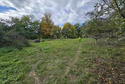 Casa Centrala Curtea de Arge?, Teren 2.211 mp - 8