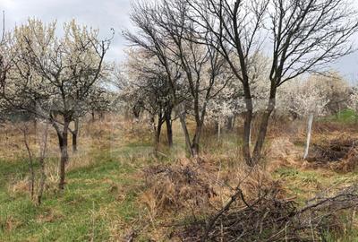 Teren intravilan de vanzare, 1.200mp, zona Porolisum - 2