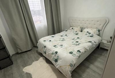 ION MIHALACHE / METROU 5 MINUTE / FARA RISC / RENOVAT