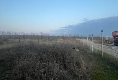 Casă individuală cu 12 camere cu Canalizare în Bariera Vâlcii - 5