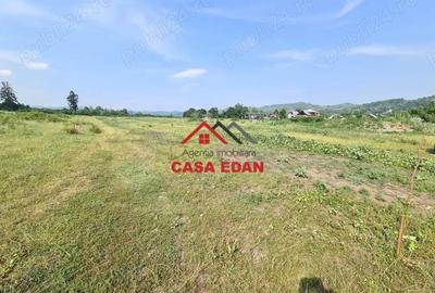 Teren intravilan in Campina, 7500mp--35e - 12