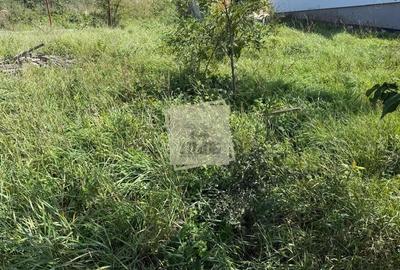 Casă cu 2 camere cu Canalizare în Șura Mare - 9