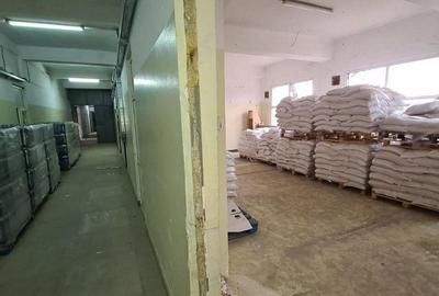 Drumul Intre Tarlale spatiu productie 400-1500 mp - 15