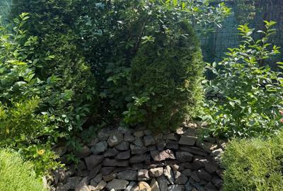 Casă individuală cu 6 camere cu Canalizare în Poiana - 4