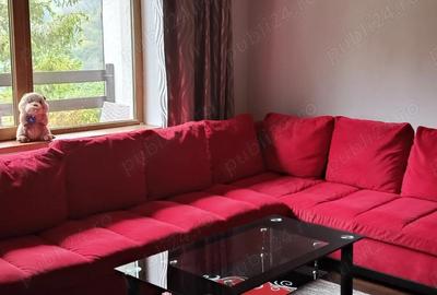 Inchiriere apartament cu doua camere situat in Predeal, - 8