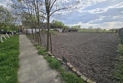 Teren de 900 mp, în Beregsău Mic - 1