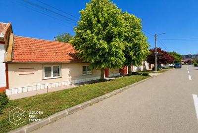 Casă individuală cu 3 camere cu Teren 720 Mp în Șega - 3