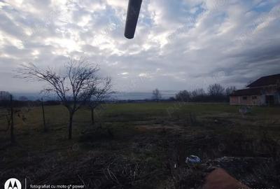Casă cu 4 camere cu Teren 2600 Mp în Bozânta Mică - 2