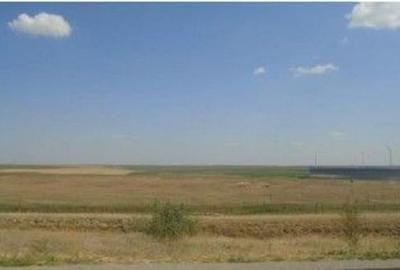 Teren de 9000 mp, în Schela - 1