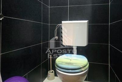 Casă cu 5 camere cu Piscina în Macea - 4