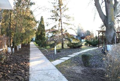 Vila exclusivista Snagov, cu deschidere la lac Vila exclusivista Snagov, cu deschidere la lac - 5