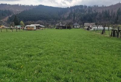 Teren de 7173 mp, în Vatra Moldoviței - 8