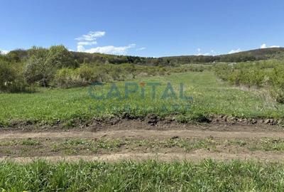 Teren intravilan 2200mp, Front 16m, sat. Padureni, Chinteni - 6