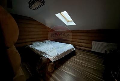 Cabana in inima muntilor, langa partia de schi din Borsa, teren 2200mp - 12