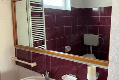 Vila Individuala P+1 | Centru Pucioasa | Proprietar - 15