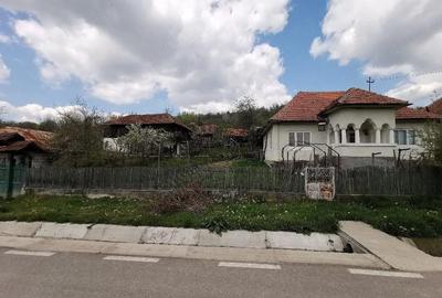 Casă cu 4 camere cu Teren 4212 Mp în Lupșa de Sus - 3
