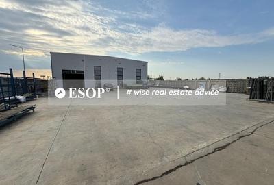 Depozit industrial, 1.950 mp, Teren 4.000 mp, Chitila, ID 15482 Depozit industrial, 1.950 mp, Teren 4.000 mp, Chitila, ID 15482 - 4