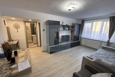 Apartament 2 camere mobilat/utilat LUX - zona Bld.Victoriei - 3